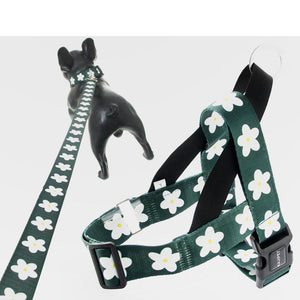 The Ultimate Control for Your Furry Friend: Vest Style Adult Pet Dog Leash