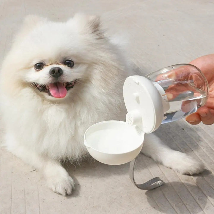 Portable Pet Water Bottle With Feeding Bowl For Outdoor Travel