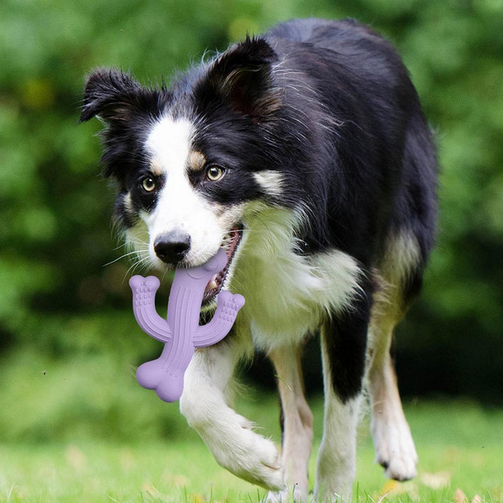 Ultra-Durable Cactus Pet Chew Toy For Interactive Boredom Relief