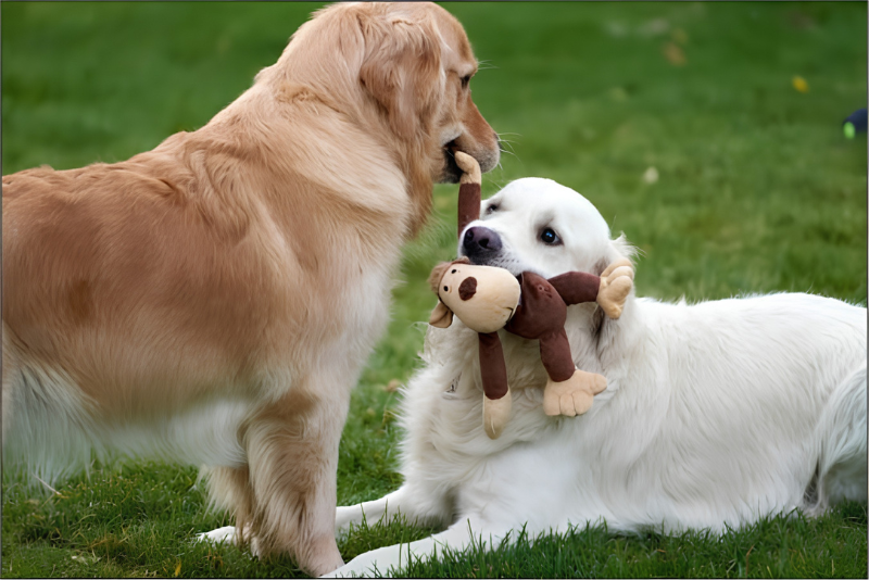 Making Everyday Play More Exciting