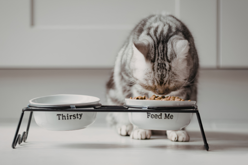Making Mealtimes Easier Every Day