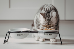 Making Mealtimes Easier Every Day